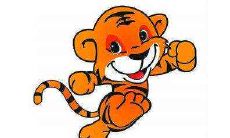 属虎人2021年有什么劫难,属虎人2021运势分析