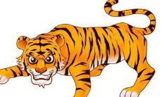 98年属虎在2020年运势及运程解析