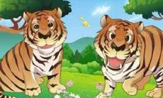 属虎的和什么属相最配