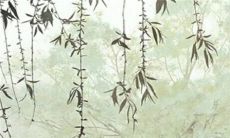 2023本命年可以结婚吗属兔女 幸福美满丰衣足食