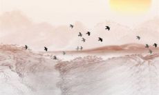 2023年生肖虎犯太岁吗 调整心态好好保养