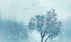 生肖兔2023是本命年需要注意什么 本命年怎么化解太岁