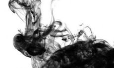 2023年属虎的好不好 2023年属虎人的运气