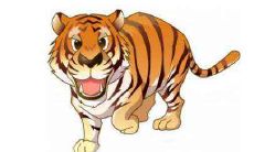 1974年属虎人2021年幸运色是什么颜色