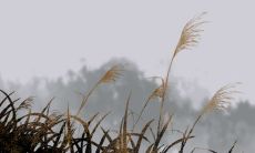 2023年哪些生肖适合买房 属龙人2023年买房住几楼好