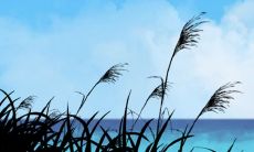 2023年属兔水命缺什么 会衣食无忧