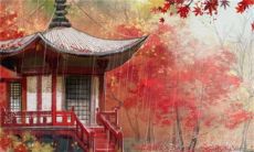 2023本命年考试运气如何 学有所成拔得头筹