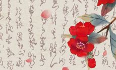 2023年以后属什么生肖 是2024年属龙