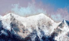 请问2023年是什么生肖年 生肖兔的性格运势