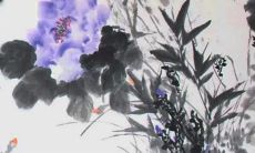 2023年春分日可以下葬吗 2023年春分下葬好不好