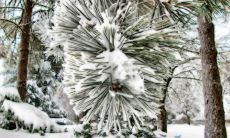 昌立斌姓名评分92分