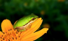 高家超姓名评分78分