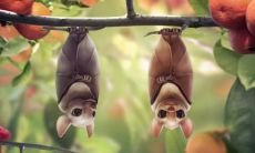 魏云彤姓名评分79分