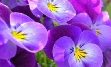 卫承斌姓名评分90分