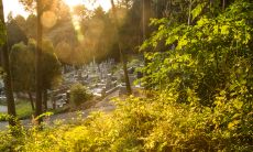 2023年属兔宝宝好不好 兔宝宝的运势解析