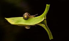 伍正义姓名评分98分