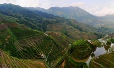 2023年是什么年 属兔人的综合运势