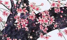 2023年4月16日是农历多少星期几 日子好吗