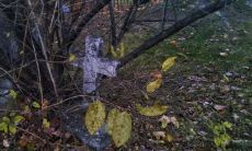 2023年属兔的人是什么命 金箔金命的山林之兔