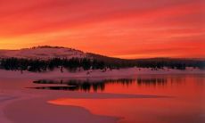 席沙姓名评分86分