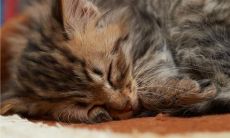 李继熟姓名评分85分