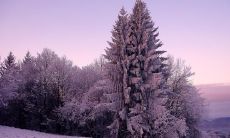 万坚志姓名评分87分