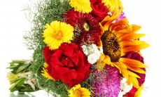 滕春乐姓名评分93分