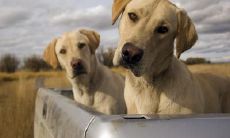 嵇新姓名评分93分