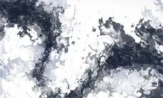 2023年2月19日雨水出生的属兔男孩命好吗 将星庇佑福禄双全