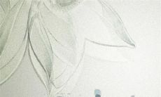 2023年2月16日出生的属兔男孩是什么命 贵人运佳有所作为