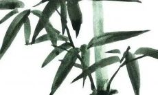 2023年2月16日出生的女孩命运如何 福禄双全秀气聪慧