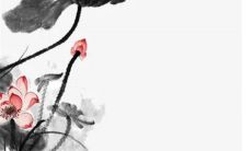 2023年正月初十出生的兔宝宝好吗 正月十三出生的人很特殊