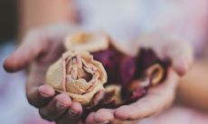 属虎的人和什么属相相克 不能跟谁共事