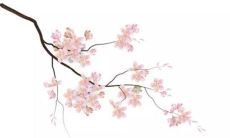 2023年2月14日情人节出生的男宝宝八字命运查询 待人真诚贵人运佳