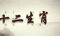 十二生肖年份表,12生肖的出生年份