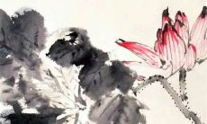 正月十二有什么说法 正月十二出生的人很特殊