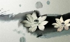 2023年2月17日出生的男宝宝命好吗 福星庇佑富贵双全