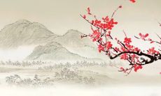 2023年2月18日出生的女宝宝命好吗 福贵双全财运旺盛