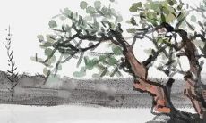 2023年立春之前出生的虎宝宝好不好 今日兔宝宝命运如何