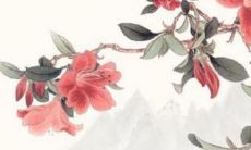 男方入赘礼金是哪边拿 男女双方协商