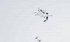 福建入赘有什么讲究 需签订入赘合同