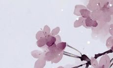 2023年4月20日谷雨是农历多少星期几 日子好吗