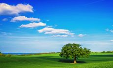 2023年正月出生的属兔好吗 天生就非常的幸运