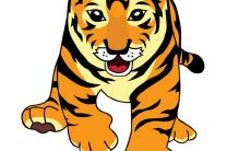 1996年出生的虎男会二婚吗 婚姻中要注意些什么