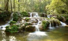 虎宝宝几月生好 属猪生虎宝宝好不好