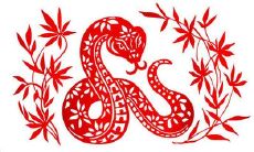 2023年5月生肖虎的感情运势如何 提运建议