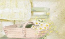 把老婆捧在手心的生肖男