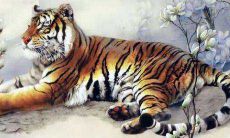 老虎人2021年谈恋爱有什么技巧