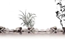 2023年生肖鼠的全年运势 收获爱情拓宽人脉