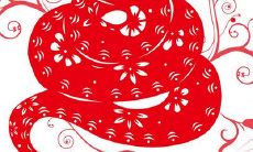 2023年5月属虎人离职创业会成功吗